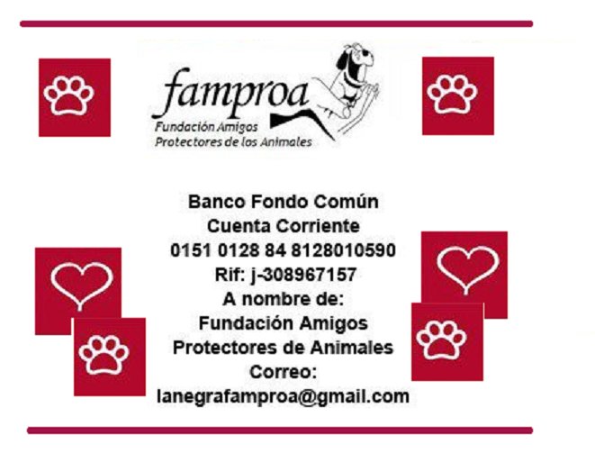 FAMPROA tweet media