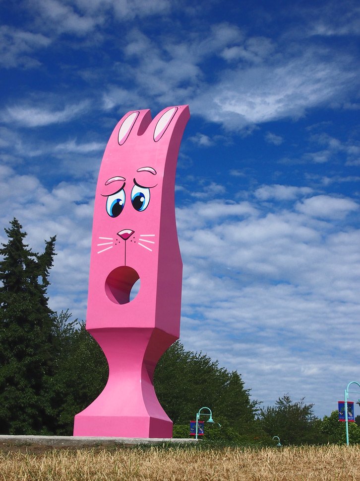 daschstudio's tweet photo. #wormseyeview x 2 of #hungrybunny at #MaffeoSuttonPark #Nanaimo BC. Morning and Evening HungryBunny. https://t.co/g2cKMdVwTv