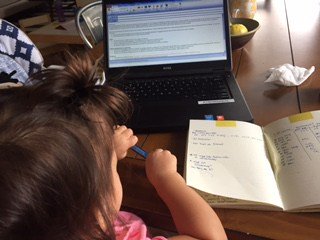 Working from Home… whowouldntwantthisjob.wordpress.com/2017/07/19/wor…