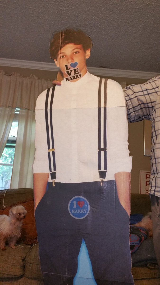 tryjen's tweet photo. Cleaning our spare room today turned up this gem, circa 2013. Stickers courtesy of my teenage larrie. #louislovesharry #duh #larrystylinson https://t.co/9oHxy6AKQh