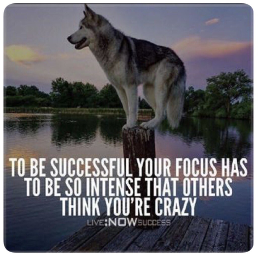 YourAgentJC's tweet photo. #jbclarksalepro #alwaysclosing #quotes #hardcorecloser #salesmotivation #salesleader #hustle #grind #motivation #inspirational #FCO https://t.co/he9ZsqZ5aB