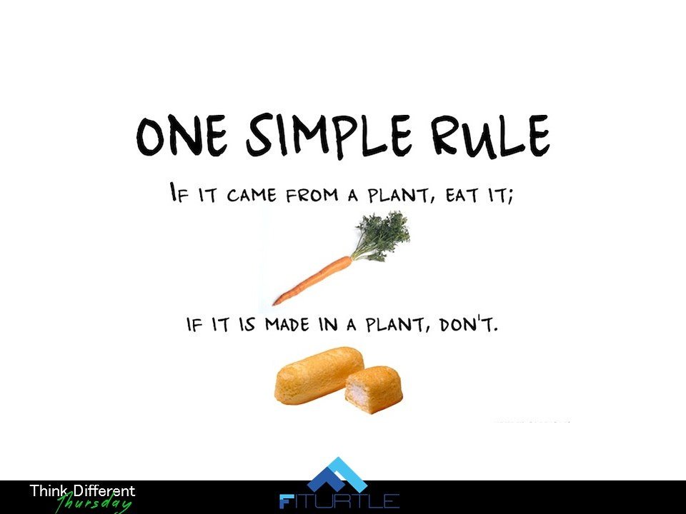 FiTurtle tweet media