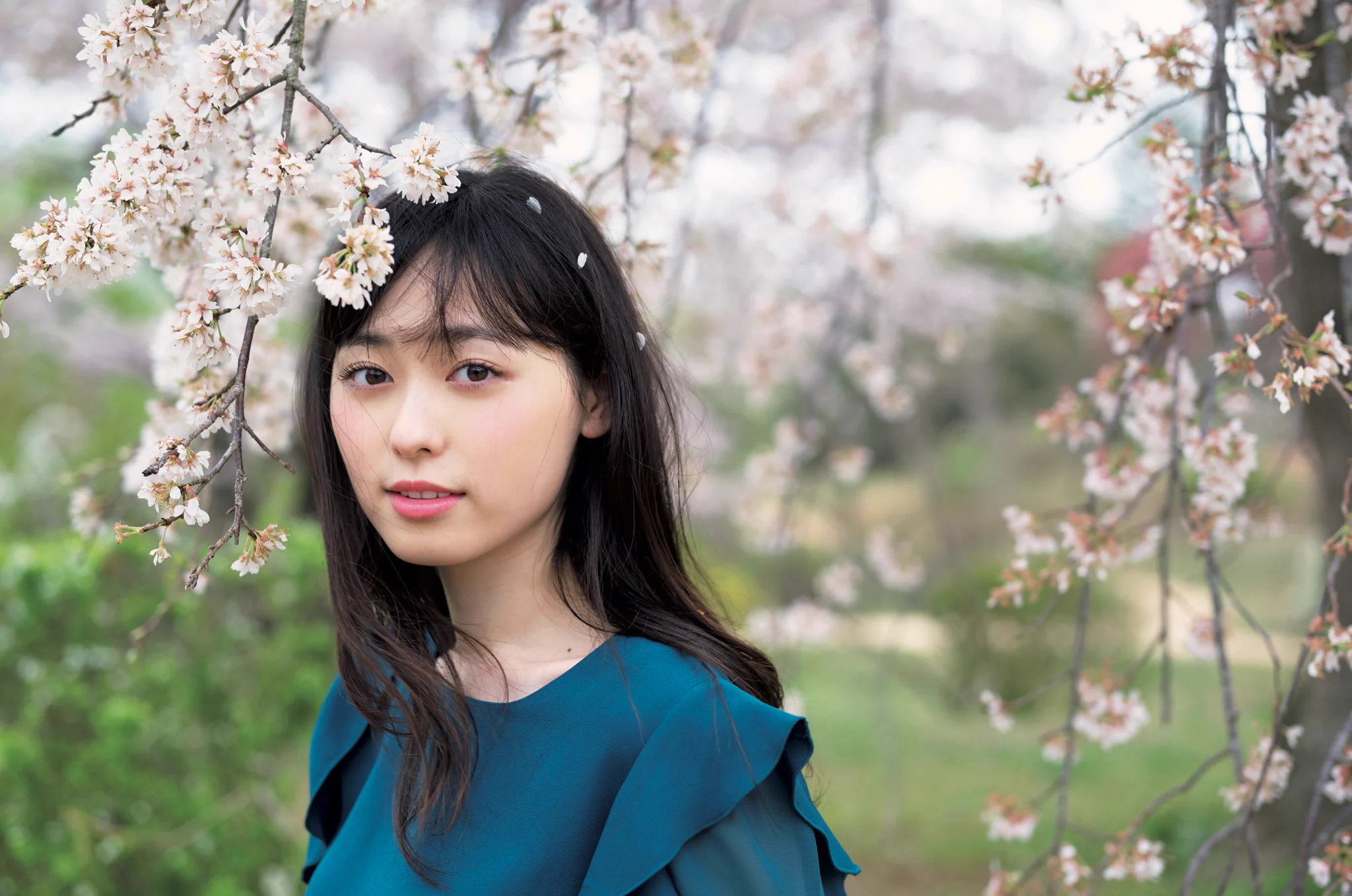 福原遥スタッフ《公式》 on X: 