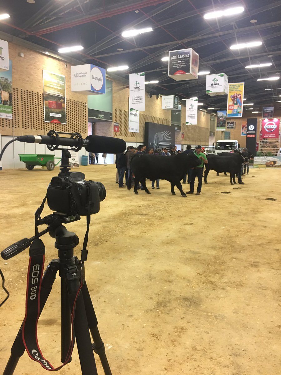 Volartech_Col's tweet photo. Grabando para la #feria #agropecuaria másimportante de #Latinoamérica ! #agroexpo2017 #corferias @MinAgricultura @CorferiasBogota #volartech https://t.co/xsHNcuOclW
