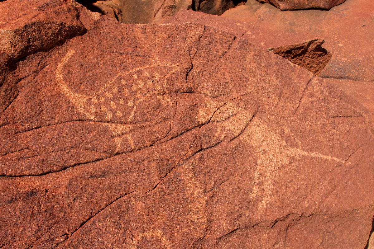 Judy_Dunlop's tweet photo. The Burrup and surrounding archipelago has incredible rock art - one of my faves is this excellent #quoll  and macropod #quollpatrol https://t.co/cySYOODp9X