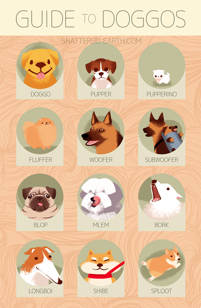 I never posted this even tho i finished it before fanime but here it is okay my GUIDE TO DOGGOS!!!