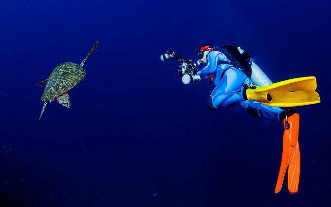 Indonesia promotes marine tourism in three Chinese cities - penzu.com/p/b08f3283

#galvestoncapitaltourismandmarketing,