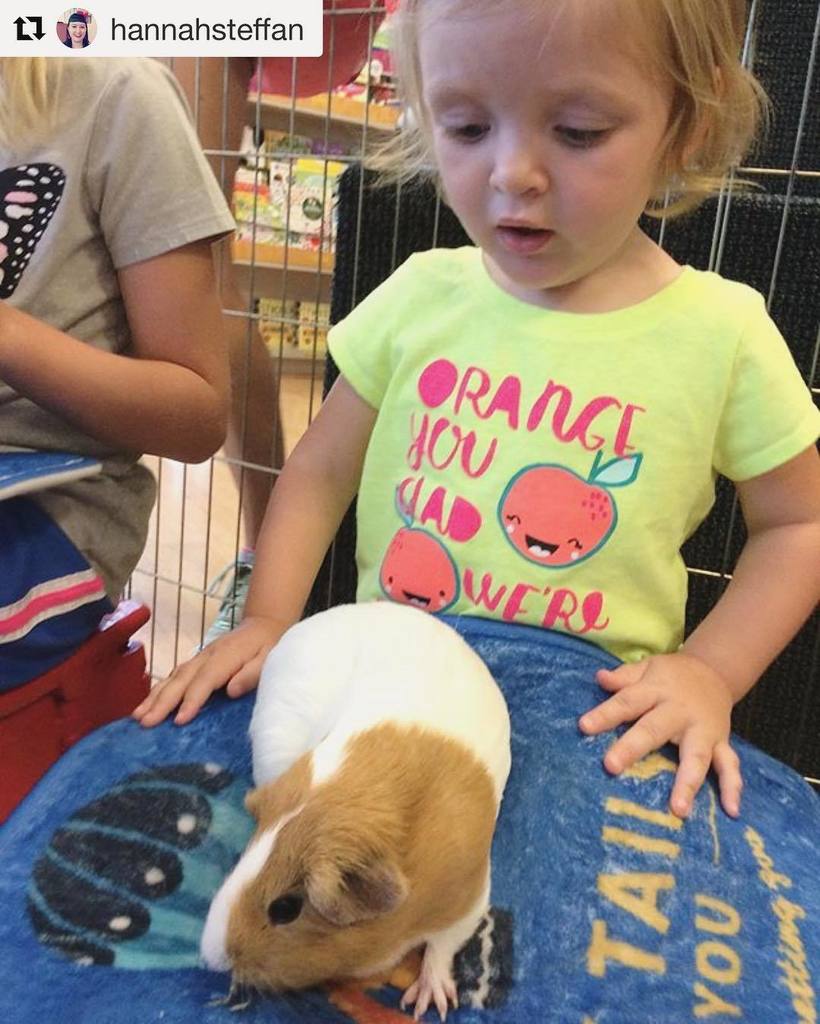 TinyTailstoYou's tweet photo. Guinea Pigs make sweet party pals 🐹
.
📸 @hannahsteffan .
#atx #austin #austintx #tinytails #austintexas #tinytail… https://t.co/cSWpkY54kq https://t.co/H0JunyrXU7