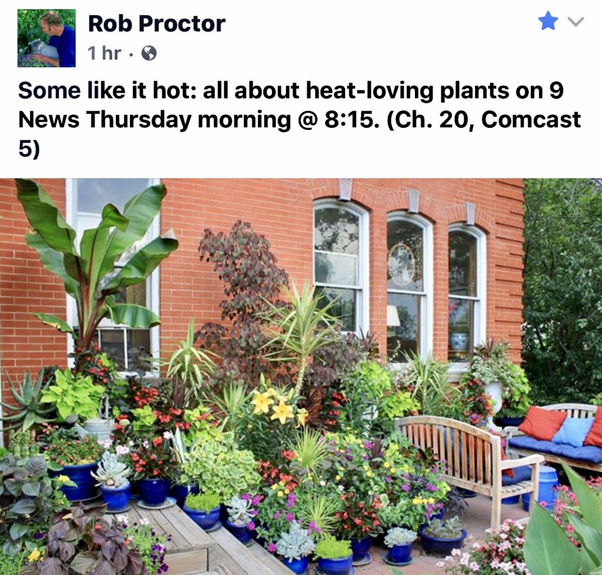 AnnieSage's tweet photo. #Denver Please tune into 9 news tomorrow morning at 8:15 am on ch .9 for some Excellent gardening advice! @ProctorsGarden 
🌿🍃🌸🌼🌹🌼🌸🍃🌿 https://t.co/500C2wu3ld
