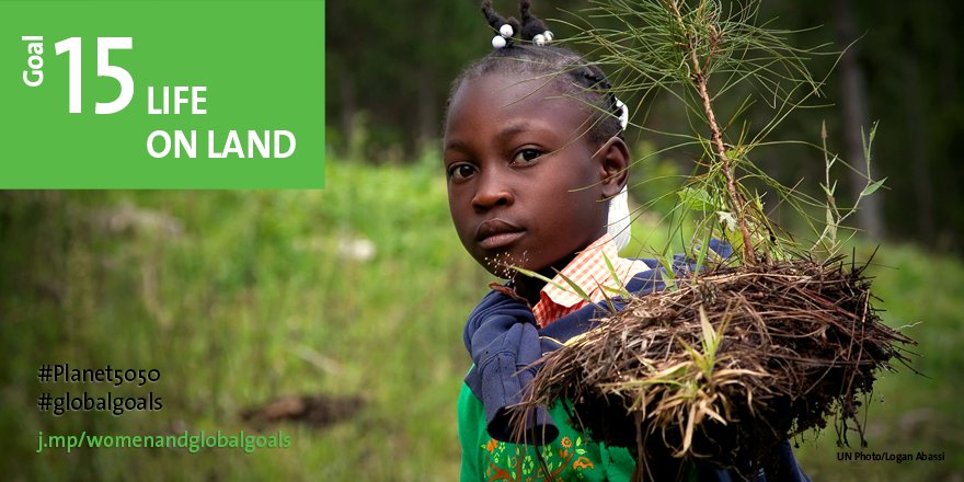 UN_Women's tweet photo. Women can be among the 1st and most affected by land degradation. #globalgoals #Planet5050 #HLPF https://t.co/626BO47hcu