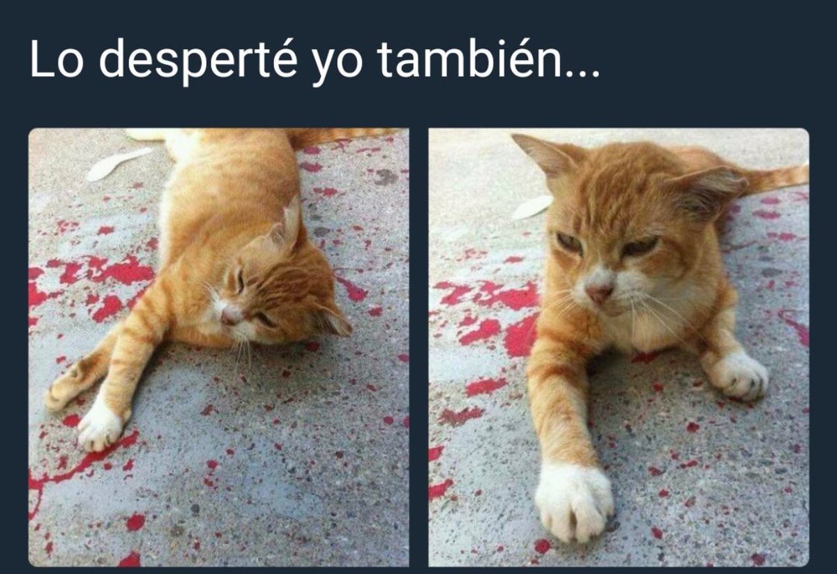_ELBRAYAN_'s tweet photo. ¿No vieron la primera imagen y les dio un patatús? No jueguen así con nuestros sentimientos maldita sea. https://t.co/I7AmTQBVPu