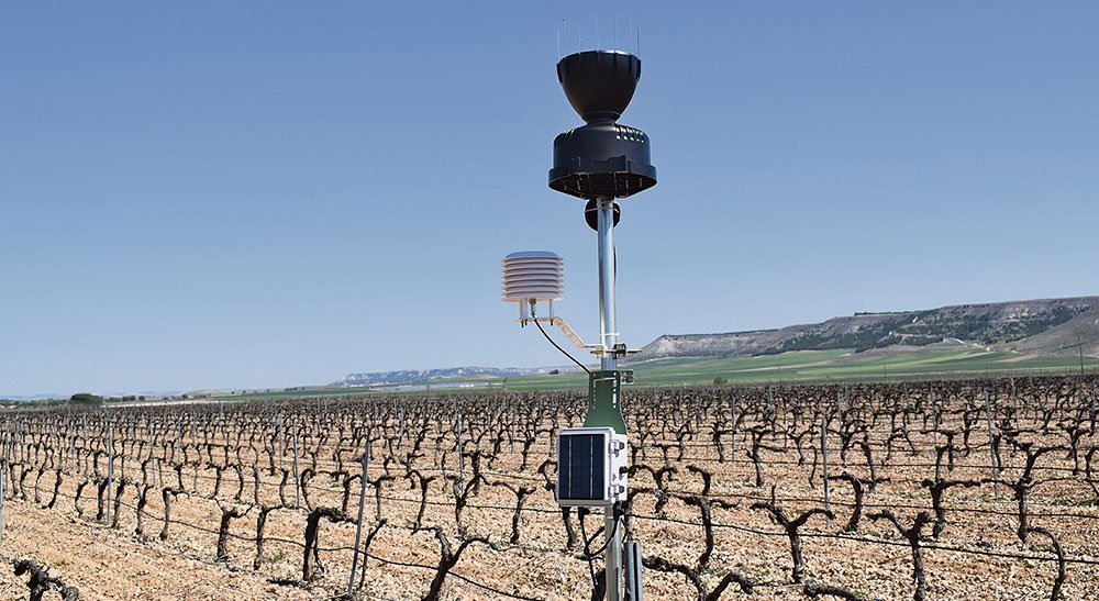 Revista CAMPO tweet media