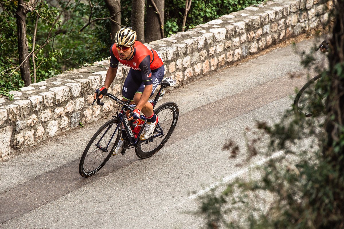 RT if you think <a href="/sonnycolbrelli/">Sonny Colbrelli</a> 🇮🇹 will win today's sprint on the Champs-Elysées 

#GreenJersey
#TDF2017