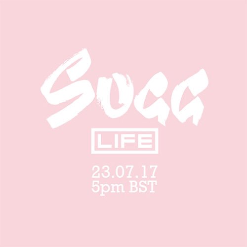 SuggLifeShop's tweet image. 👀