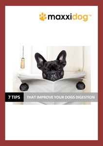 maxxipaws's tweet photo. Why Are Bowel Conditions So Common In Pets Today? https://t.co/xABiOcTAq5
#dogsdigestion #dogstomachupset #dogsdiet #dogsdiarrhea #dogs https://t.co/K3rx47vzGT
