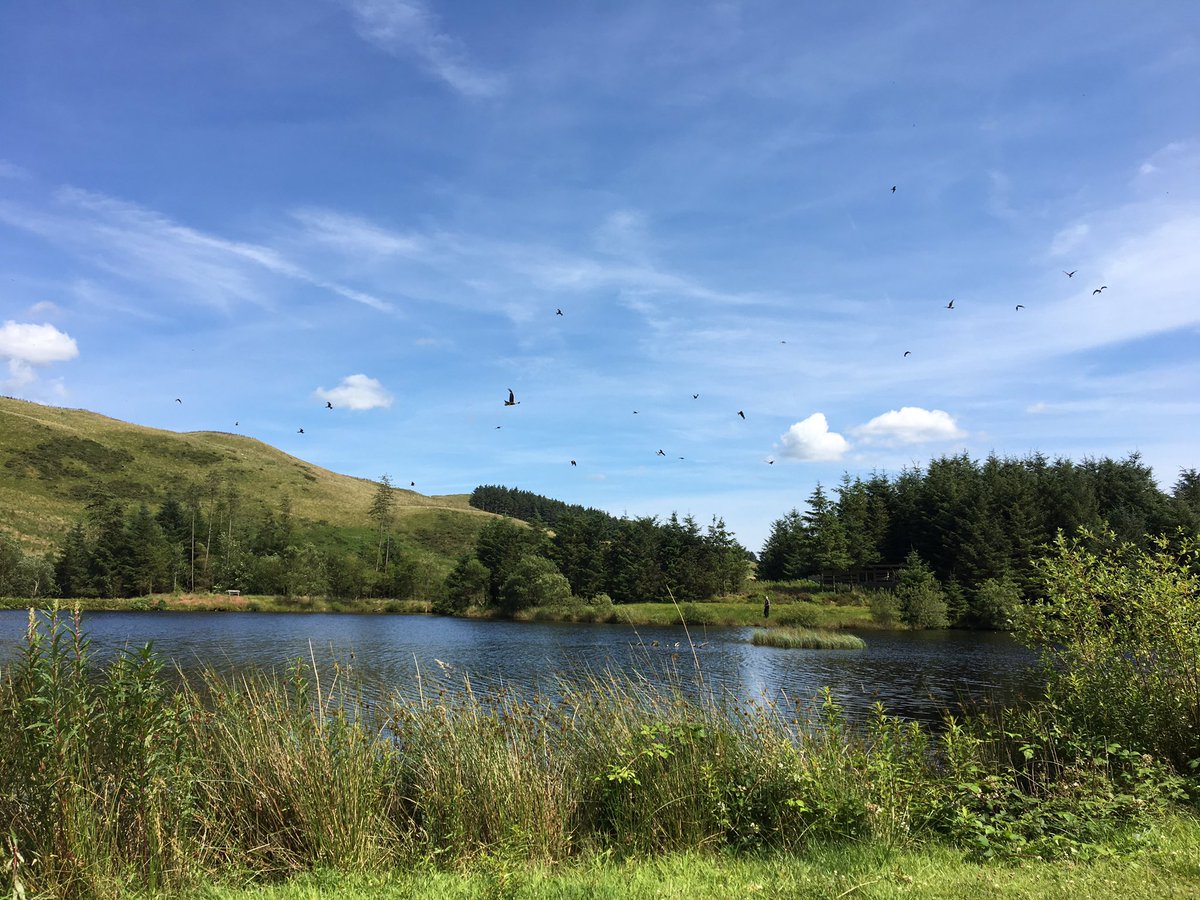 LouClem1's tweet photo. #NantYrArian #aberystwyth #redkites  #family #walks #sunshine #cakes #views #mtb next time. Beautiful #Wales #FindYourEpic #OMGB https://t.co/bQwXxze56F