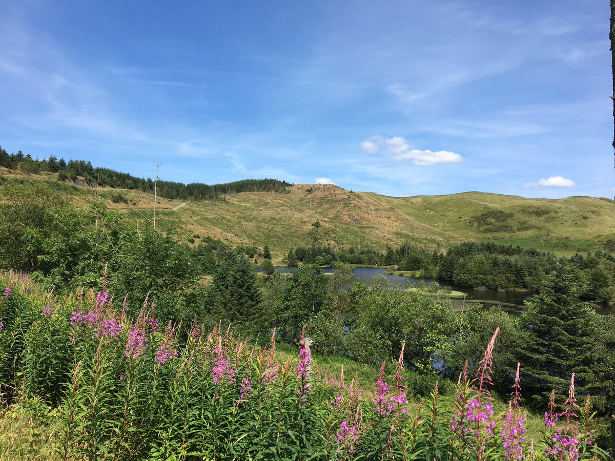 LouClem1's tweet photo. #NantYrArian #aberystwyth #redkites  #family #walks #sunshine #cakes #views #mtb next time. Beautiful #Wales #FindYourEpic #OMGB https://t.co/bQwXxze56F