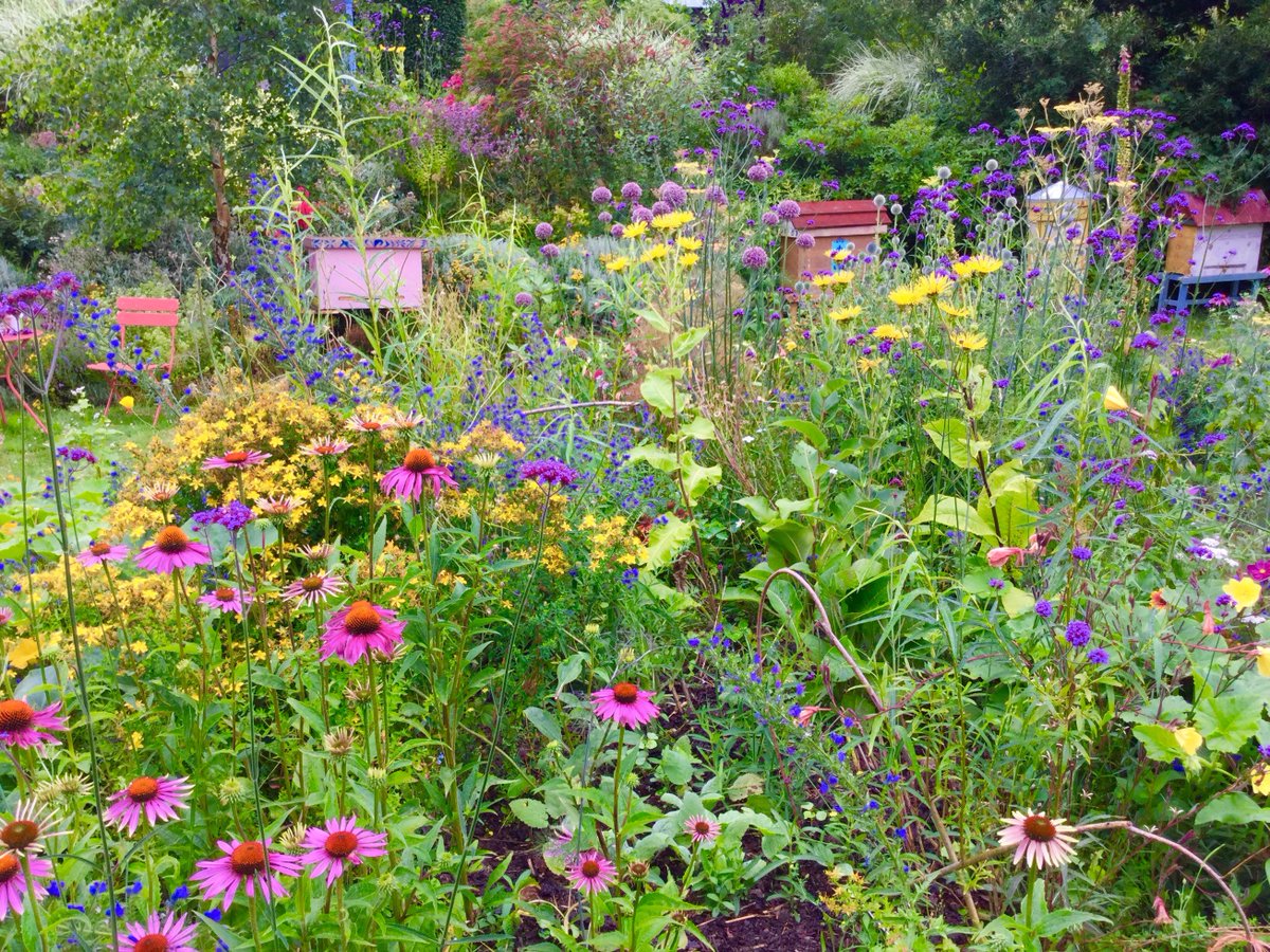 NaturalBeeTrust's tweet photo. It became dark and stormy, but then, very soon after, the nectar flowed wildly and the bees danced with joy ....
#growingforbees https://t.co/2ZwU2ostZU