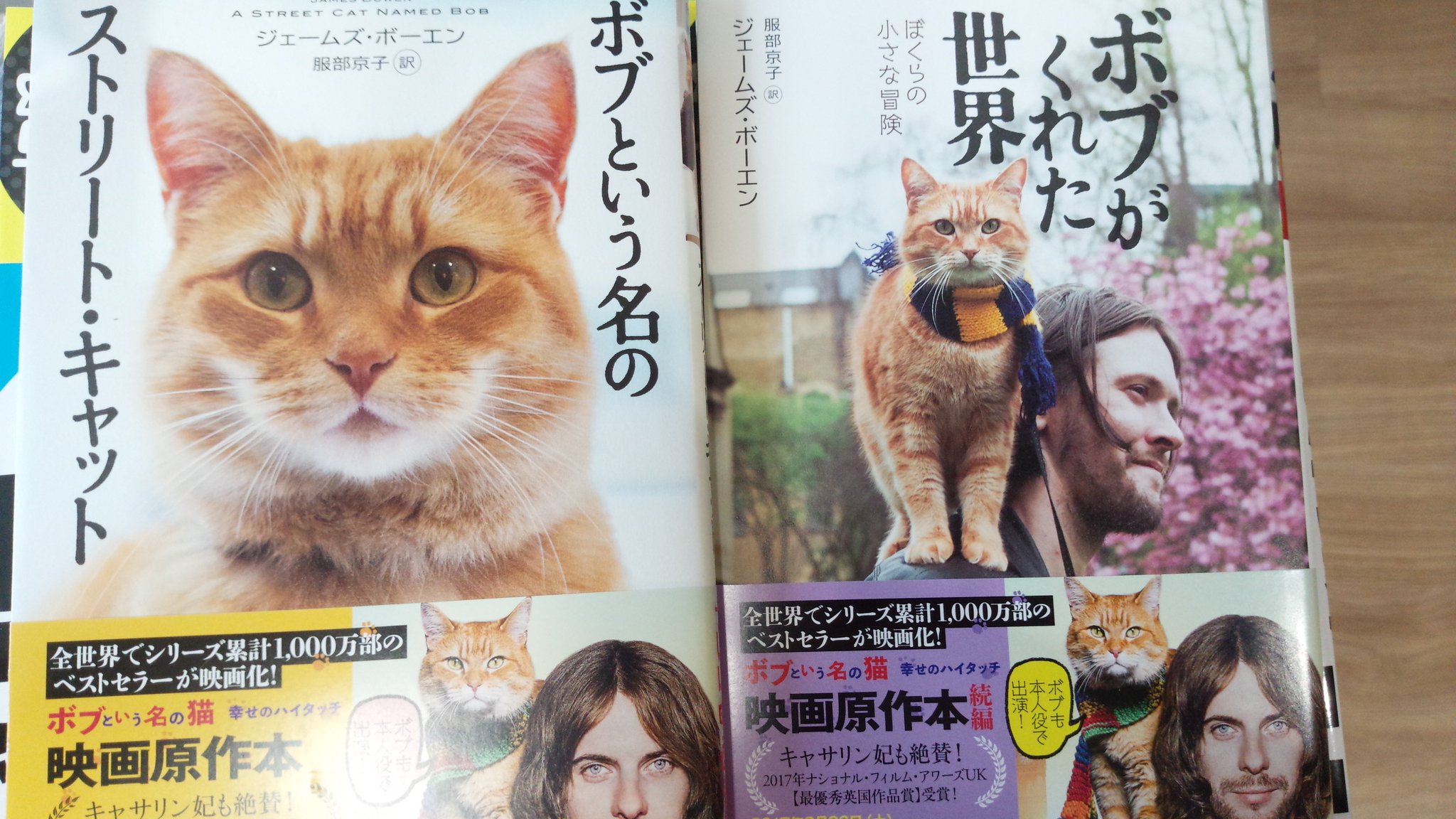 丸善名古屋本店 on Twitter &quot;【1F実用話題書売場】2017年8月公開、映画『ボブという名の猫 幸せのハイタッチ』の原作本。『ボブ
