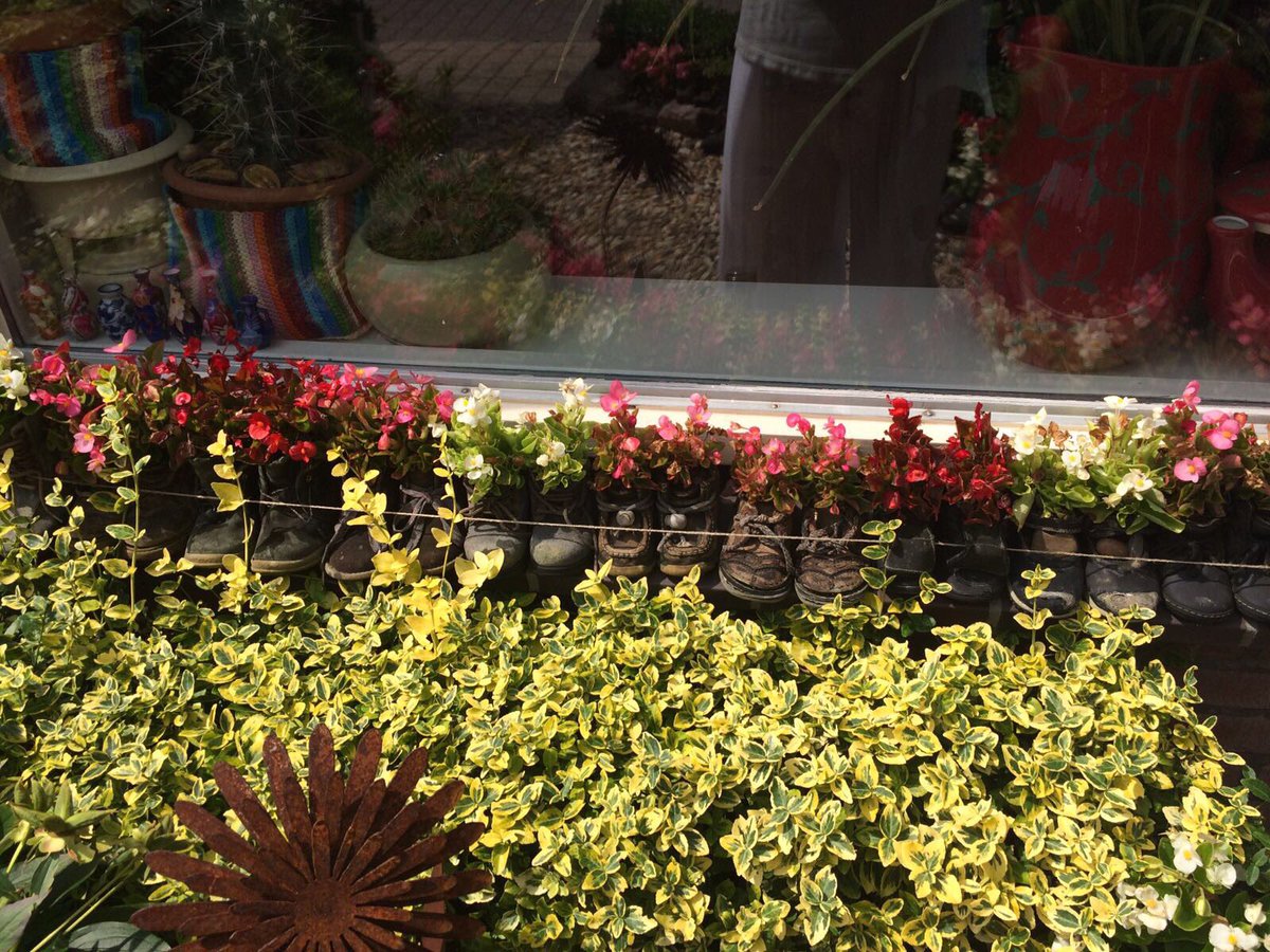 rellebel tweet media