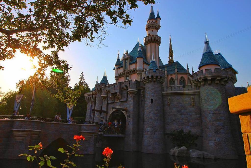 mrdaps's tweet photo. “Laughter is timeless, imagination has no age, and dreams are forever.” – Walt Disney @DisneylandToday #sleepingbe… https://t.co/UQSRYVu3hx https://t.co/Ob31WnKxYS