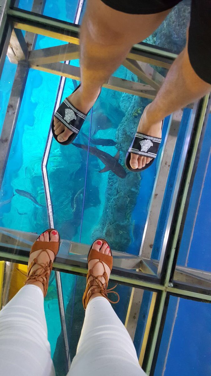 ChrisPatrick147's tweet photo. I've waited a lot of years but finally met THE KING #Seeittobelieveit #Kingcroc @DubaiAquarium what an absolute boss https://t.co/knMygpydvT