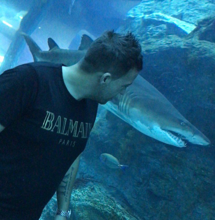 ChrisPatrick147's tweet photo. I've waited a lot of years but finally met THE KING #Seeittobelieveit #Kingcroc @DubaiAquarium what an absolute boss https://t.co/knMygpydvT