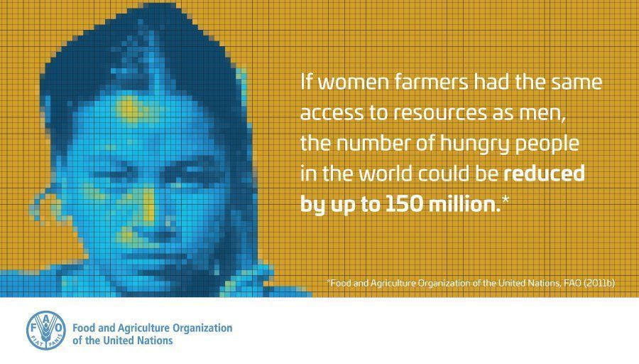 FAOKnowledge's tweet photo. Improving #women's access to resources increases food security for all https://t.co/azd4g7vze4 #genderequality https://t.co/UpvQ59Q2cX