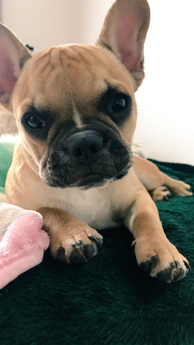 Nathy Villalobos tweet media