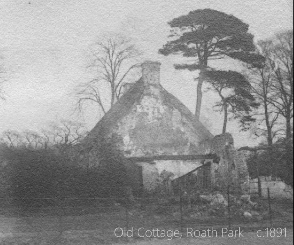 Old Cardiff Pics tweet media