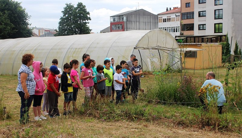 58 rapaces divírtense aprendendo a sementar, adubar ou reciclar nos obradoiros de Verán do Horto Infantil Municipal
carballo.org/novas.php?id=5…