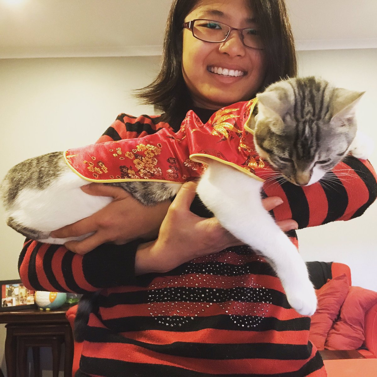 Prepared for Chinese New Year 2018! #toughchweong #catsofinstagram