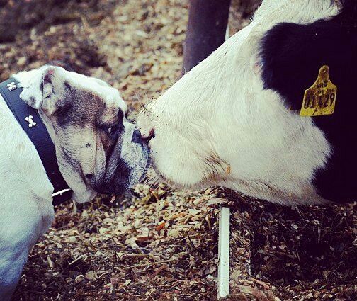 Indian Superheroes tweet media