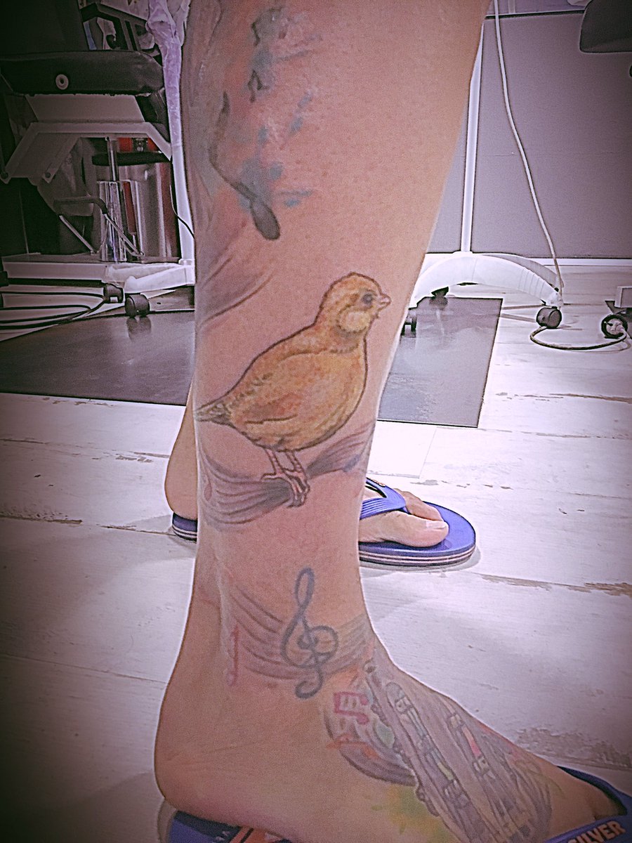 CRIADOR_5V11's tweet photo. Tatuaje simbólico de @miarmadelpuerto exponiendo nuestra pasión al #canario y la raza #fifefancy. 🐤 https://t.co/t0zM3lbTNL