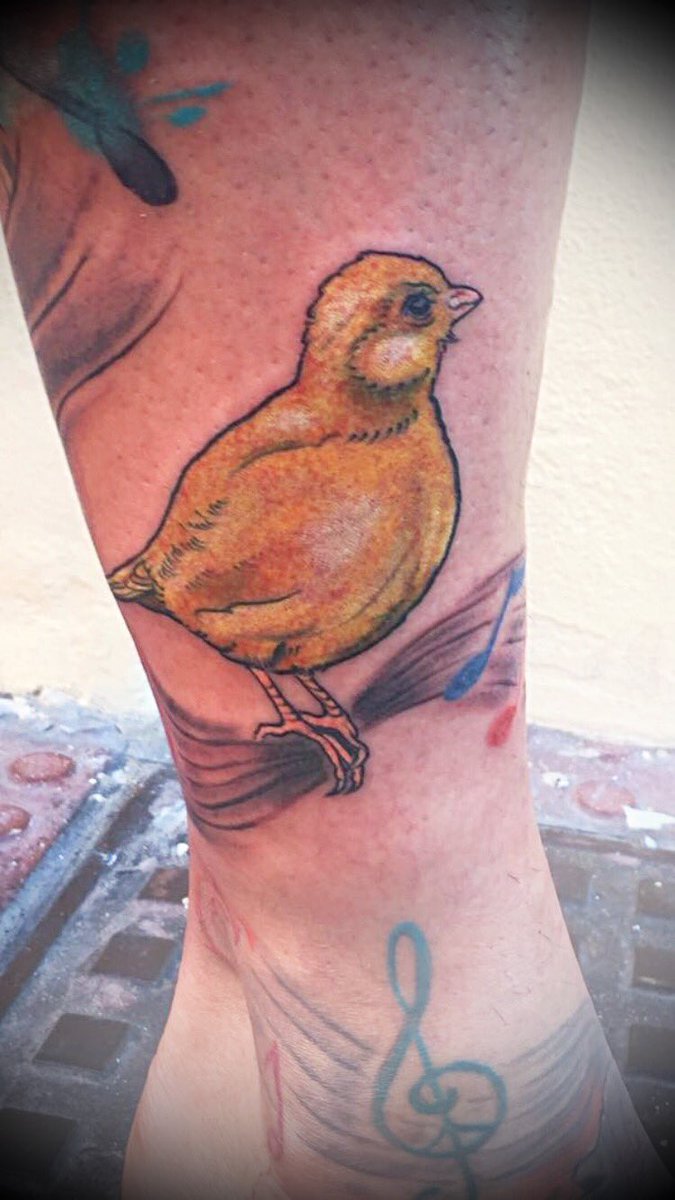 CRIADOR_5V11's tweet photo. Tatuaje simbólico de @miarmadelpuerto exponiendo nuestra pasión al #canario y la raza #fifefancy. 🐤 https://t.co/t0zM3lbTNL