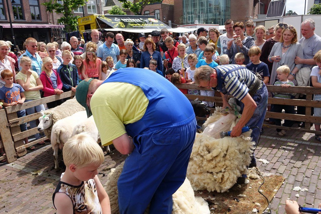 Onze VAKANTIE/WEEKENDTIPS westfriesland.nl/?Categorie=Eve…
o.a. Kaasmarkt, Westfriese Folklore, oldtimerdag &amp; nachtmarkt
Westfriesland... beleef het!