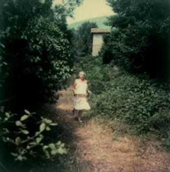 sergioandreola's tweet photo. @RPerezChaves @aylunaay @mtonino @LustForLanguage @luminous_arts @cinemathequefr @TATJANASL @RubenRedondoJar @CittaPasolini #LostInTarkovsky 
#polaroid #InstantLight https://t.co/GJNrluyV2o