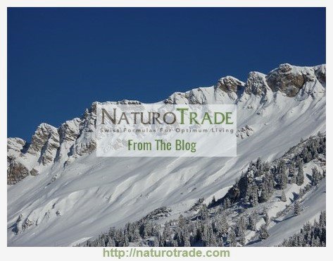 theswissformula's tweet photo. Milk Thistle Is Considered to Be an All-Natural Anti-Aging Weapon - https://t.co/AuFYWmfY32 #antiaging #natural #health https://t.co/4ra0KZuxJV
