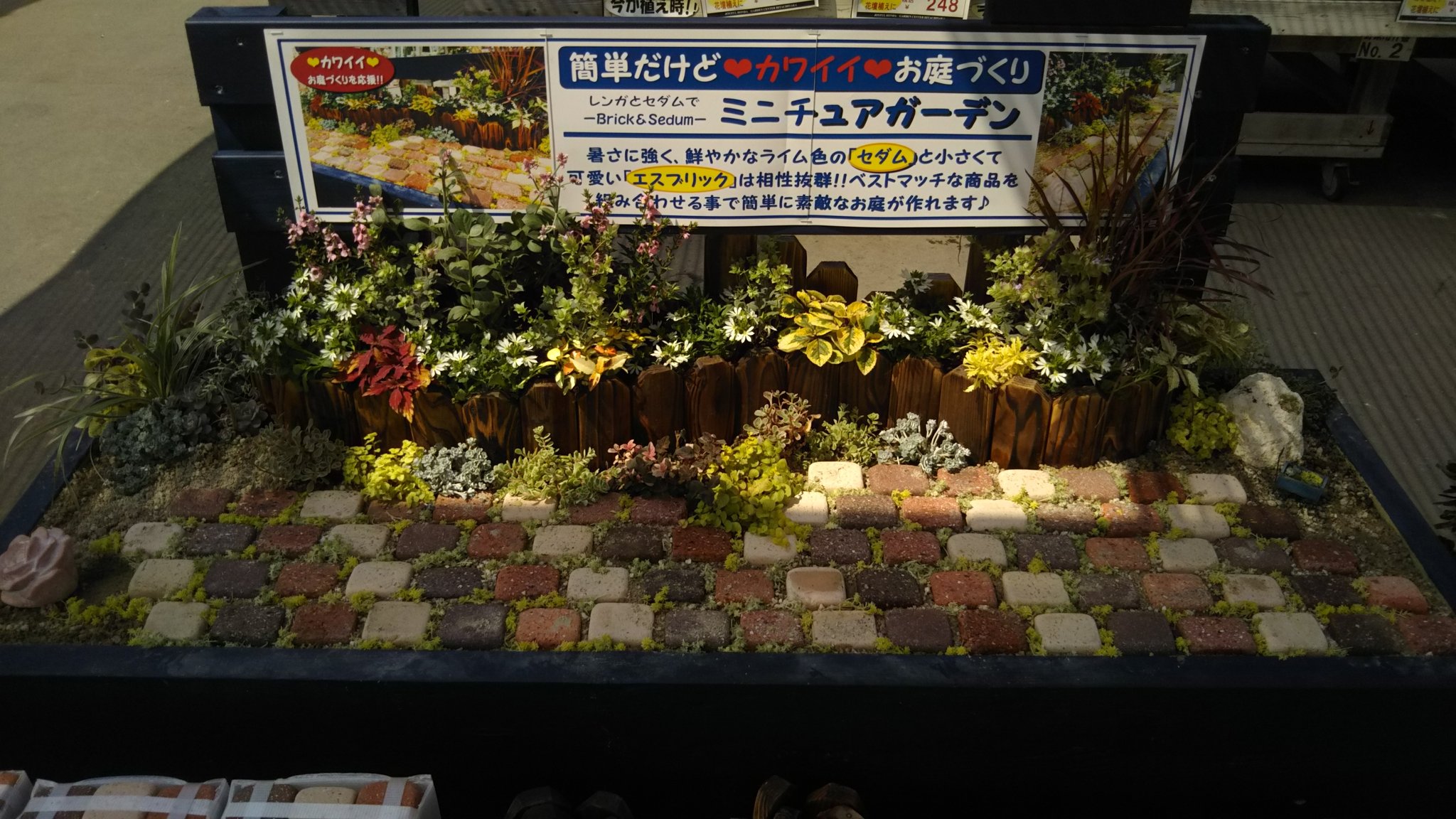 Twitter 上的 ジョイフル本田 ガーデンセンター ガーデンセンターひたちなか店 茨城 昨日 レンガ担当者が作っていた花壇が完成しました ワクワクドキドキの完成形 ミニチュアガーデン セダムとエスブリックを組み合わせてとっても可愛い 花壇