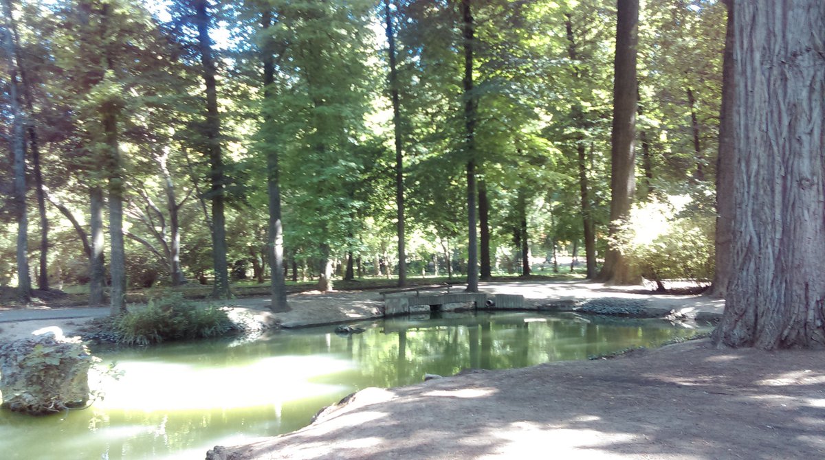 jardin_aranjuez's tweet photo. Good morning feom #Aranjuez  have a nice day. #Madrid #Spain #summer https://t.co/Rekh2rclgX