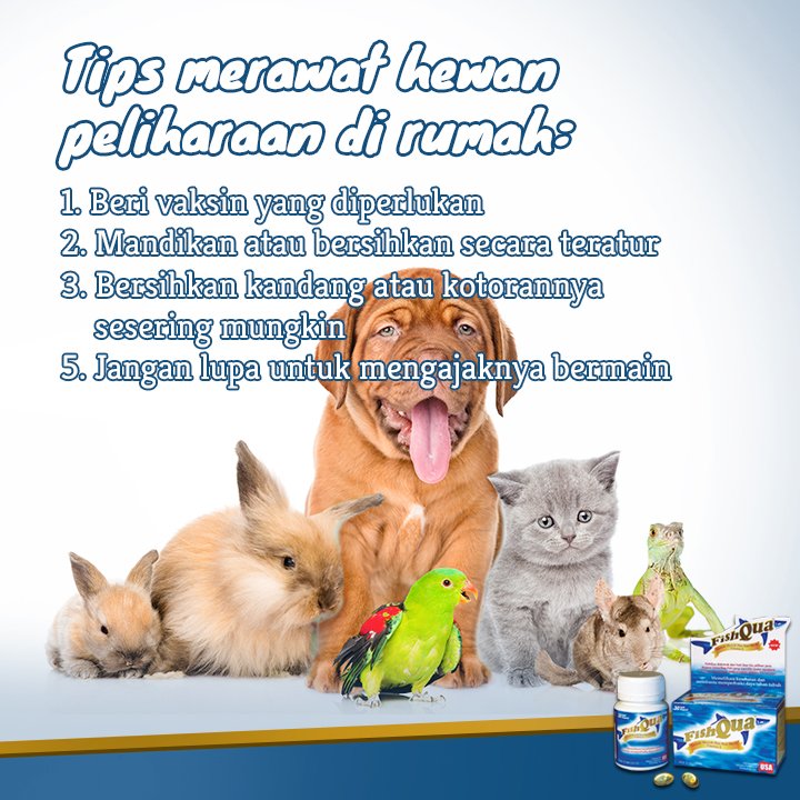 SehatAktifID's tweet photo. Sobat Aktif punya hewan peliharaan di rumah? Jangan lupa untuk merawat hewan peliharaan dengan baik agar tidak mengundang penyakit. https://t.co/wGnCUwS0vO