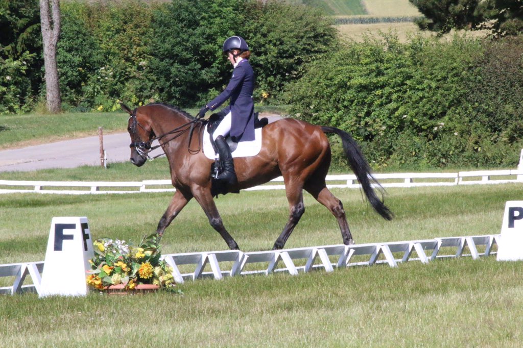 JC_Eventing's tweet photo. #purplejins for XC @jin_stirrup #blackjins & #flyingchanges for dressage ๐@BarburyCastle @BEventing #BuckminsterHT @SelleriaEquipe saddles๐ https://t.co/5riXEiDO0J