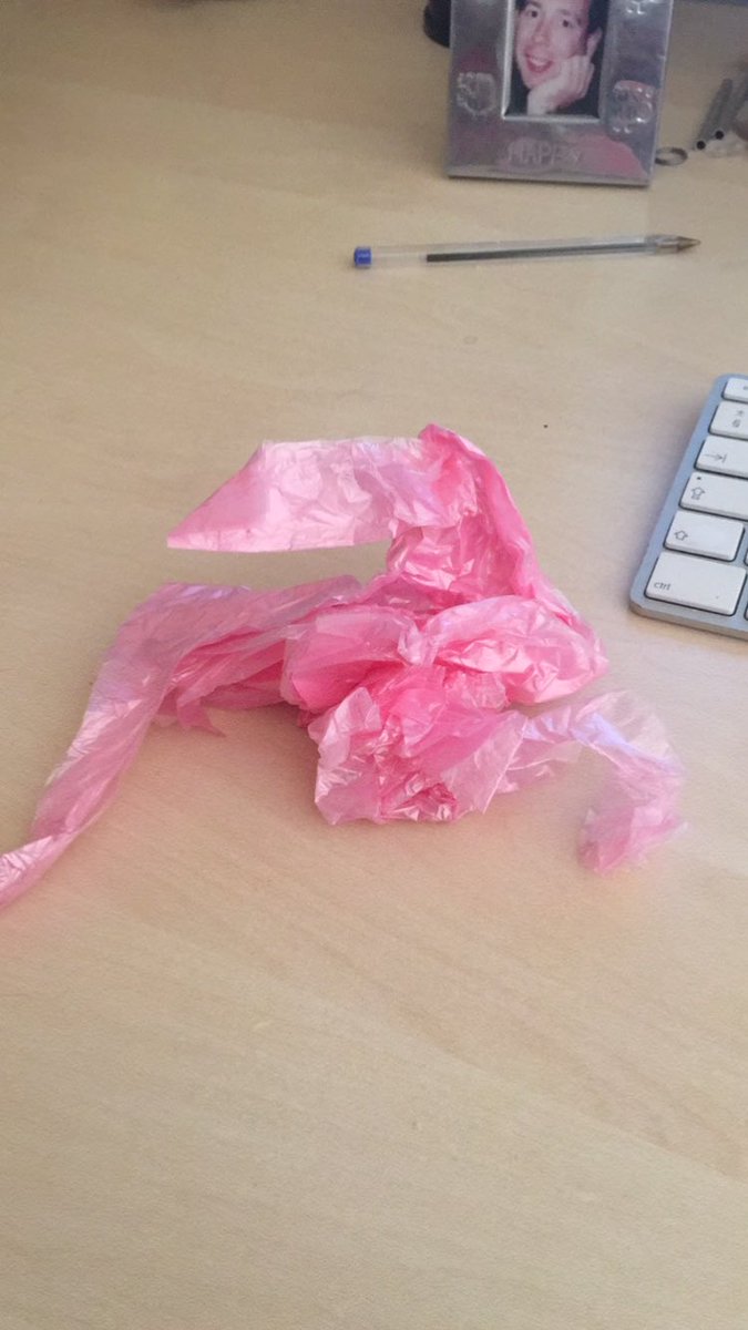 cerysthedog's tweet photo. @Pink Dog poop bags in my sports bra!! https://t.co/sLa7ihl1YV