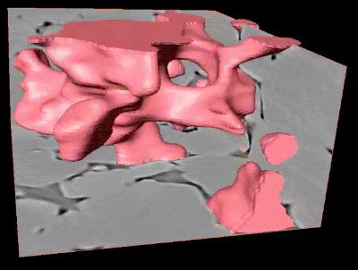 ESEImperial's tweet photo. New research in @PNASNews overturns 100-year-old fluid flow law. Read more: https://t.co/bdo8ZnimEU #DynamicConnectivity @LecturerSam https://t.co/QATIOKaac8