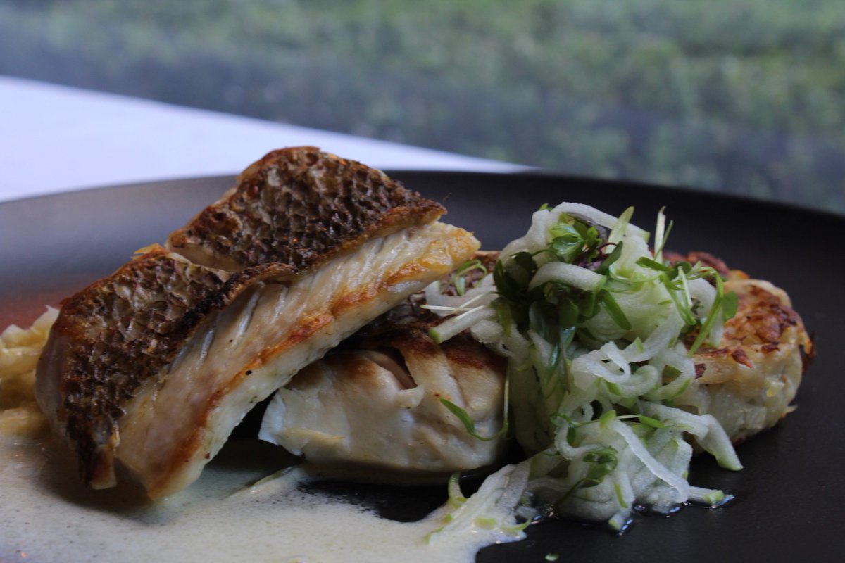sofitelsydney's tweet image. #WinterDining at #GardenCourtRestaurant with Snapper Choucroute, potato galette, apple &amp;amp; herb salad, Champagne sauce