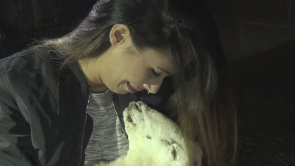 Lara rompe a llorar al saber que debe sacrificar a Txotxo Eléctrico bit.ly/2uF3BKQ