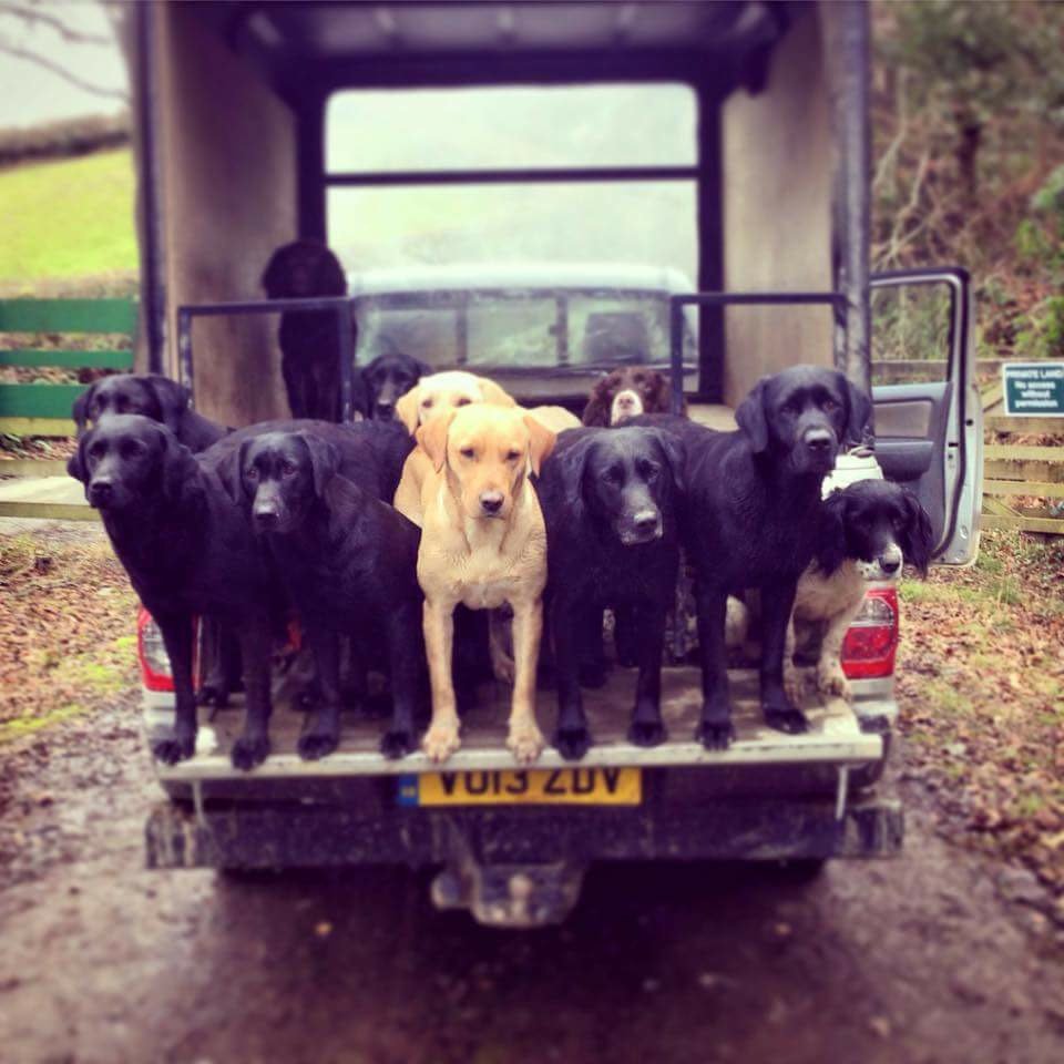 Jill Grieve tweet media