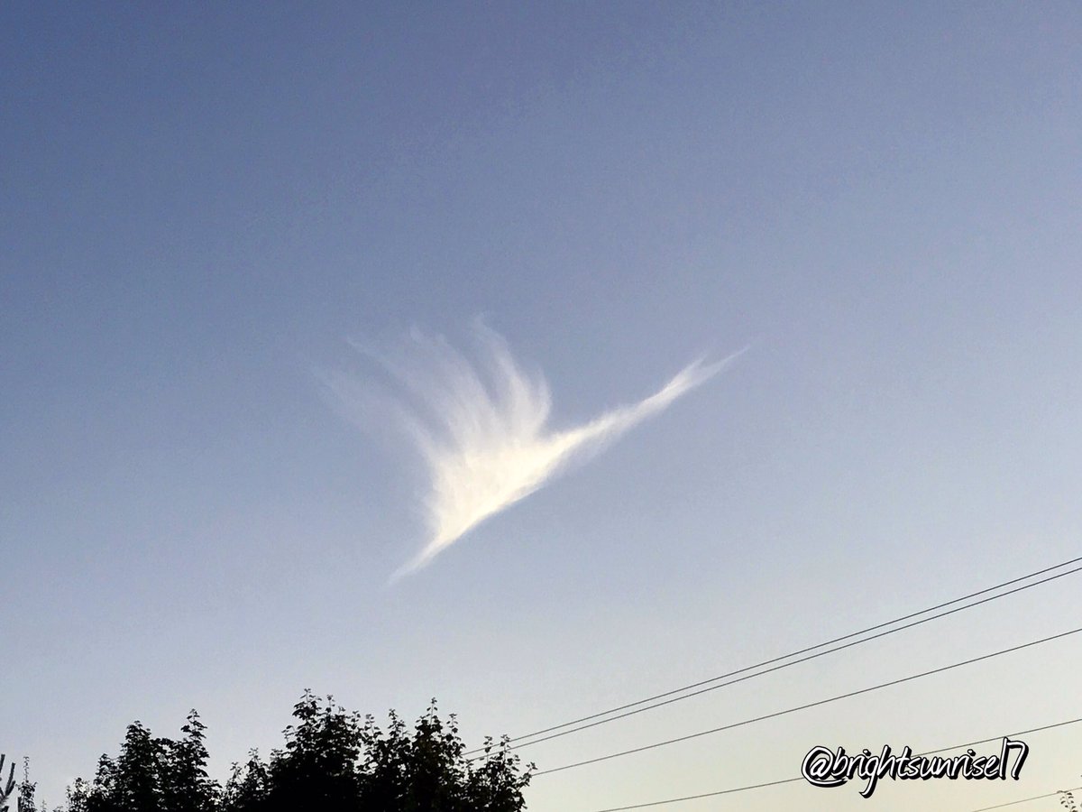 brightsunrise17's tweet photo. I just see a flying bird...
#AmazingSky #CloudFigures
#SkyLovers #NatureisAmazing https://t.co/HK6WZxGQ5V