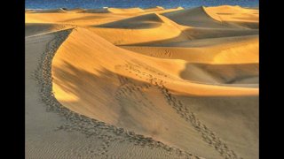 Le dune, il posto più bello dove meditare al sorgere del sole ...
#LeadershipAcademyMICAP