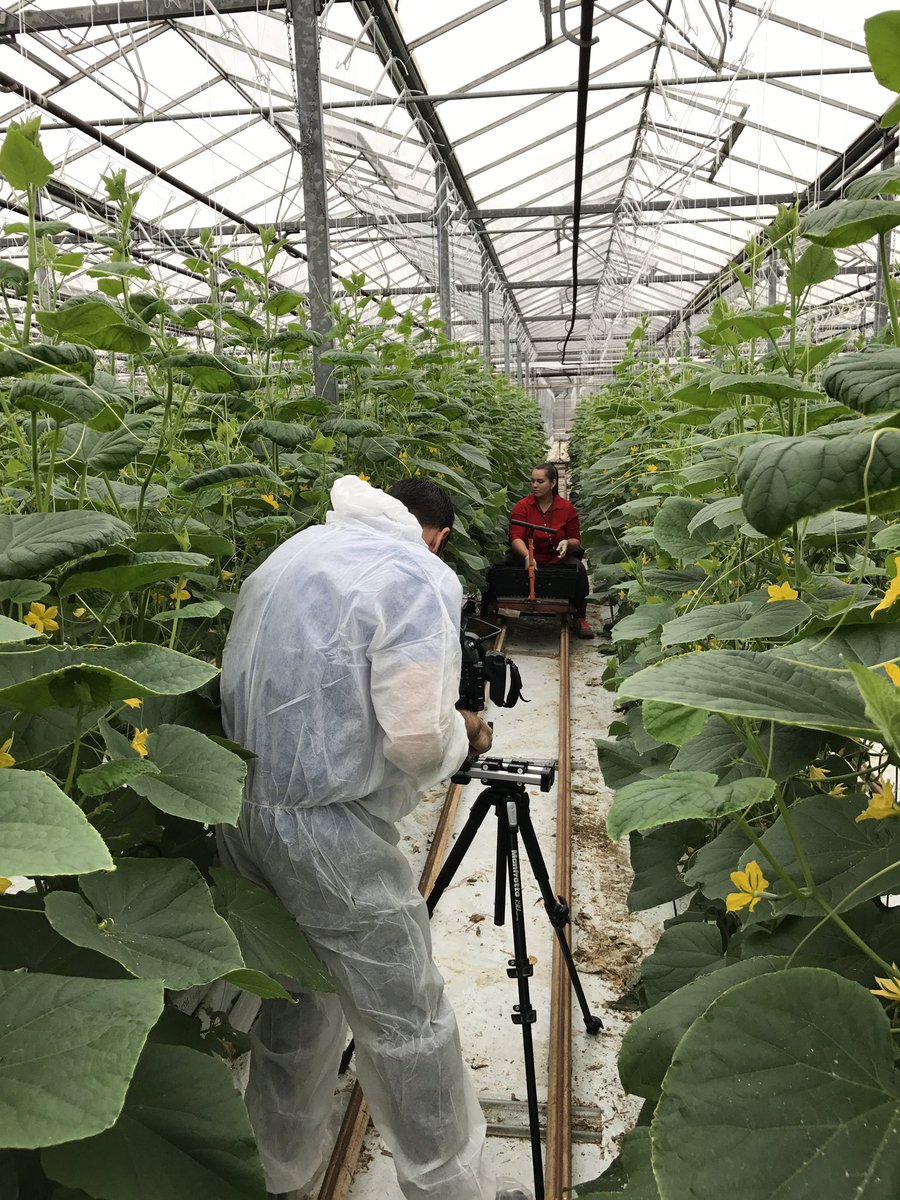 Nickparfitt23's tweet photo. Filming in a greenhouse today with @thebigredlife #LoveWhatYouDo #spacesuits #zoltan https://t.co/9aicUBqYjU